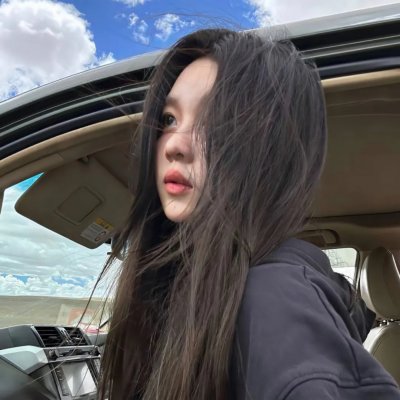 盗贼生涯